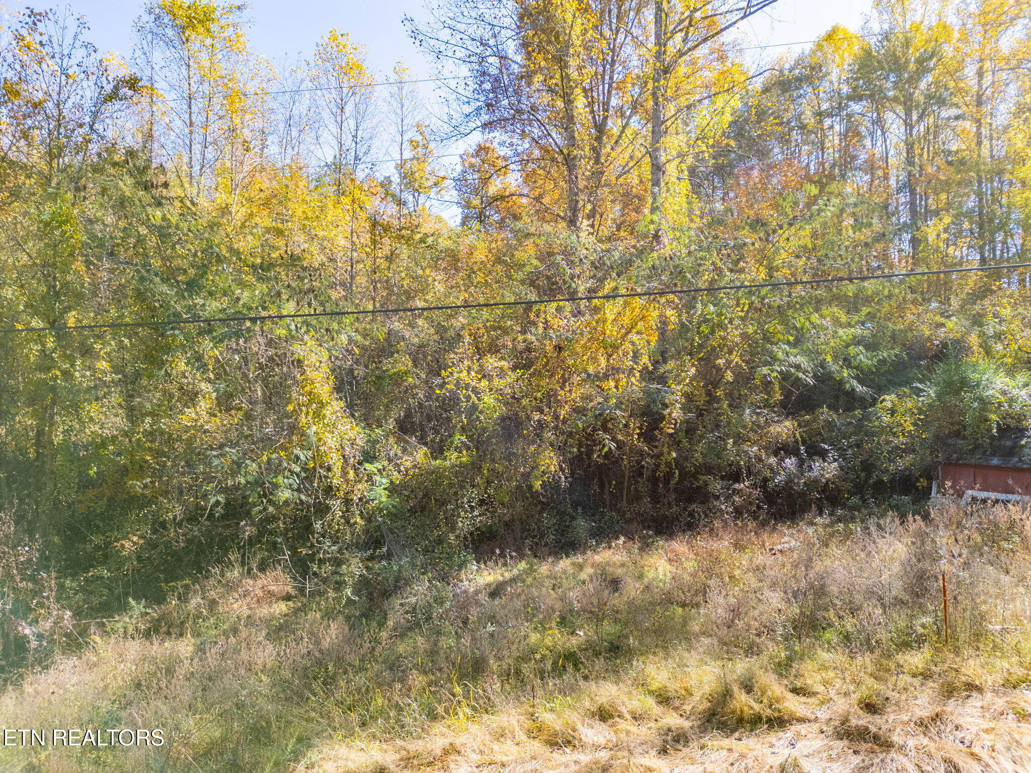 1395 Mountain View Road Rockwood, TN 37854 - Photo 22 of 25 53-web-or-mls-DJI_0642-HDR