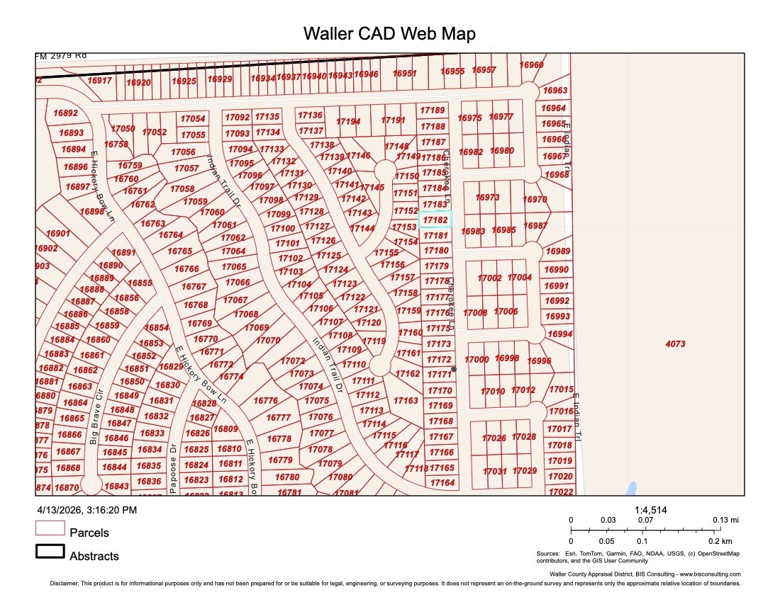 17182 Cherokee Lane Hempstead, TX 77445 - Photo 6 of 10