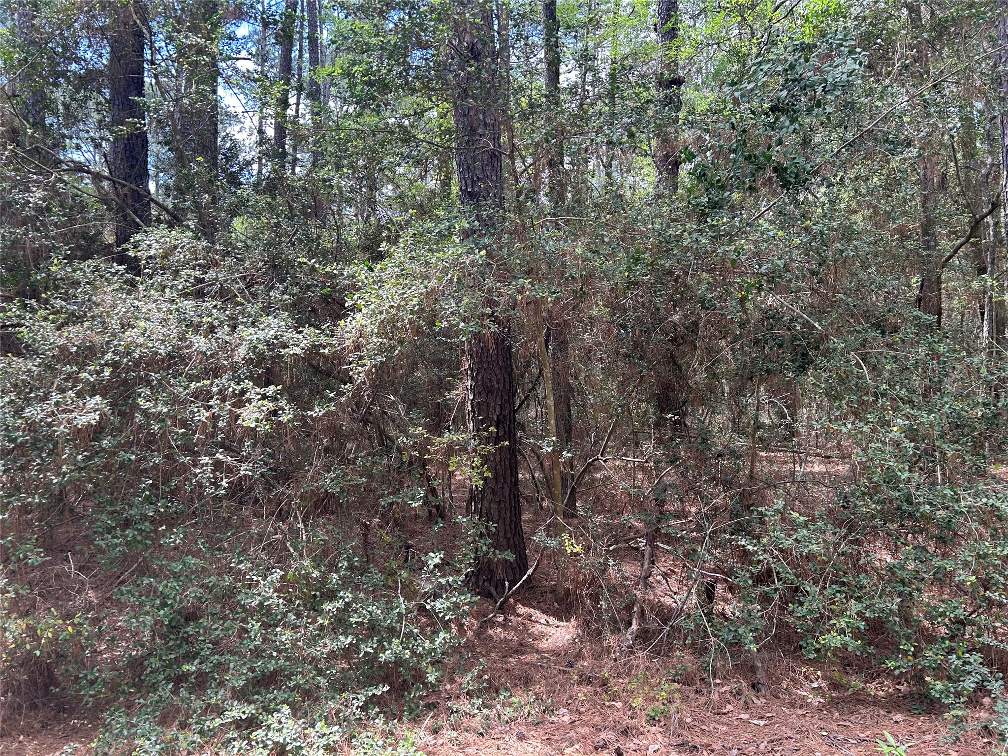 17182 Cherokee Lane Hempstead, TX 77445 - Photo 9 of 10