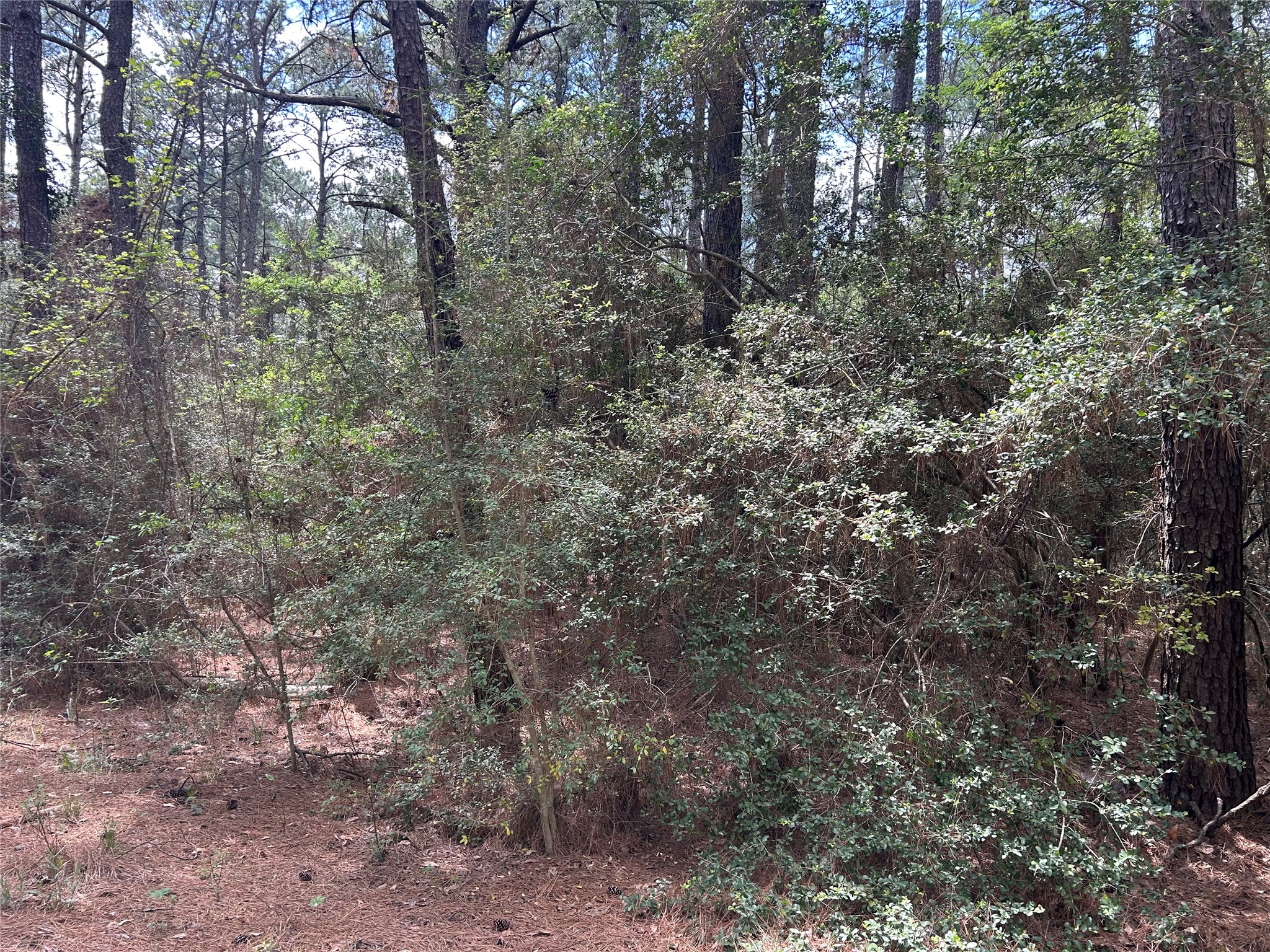 17182 Cherokee Lane Hempstead, TX 77445 - Photo 10 of 10