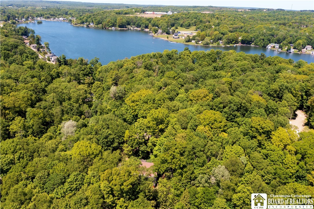 2545 A And B Parsonage Road, Unit A Findley Lake, NY 14736 - Photo 5 of 46 Lake View
