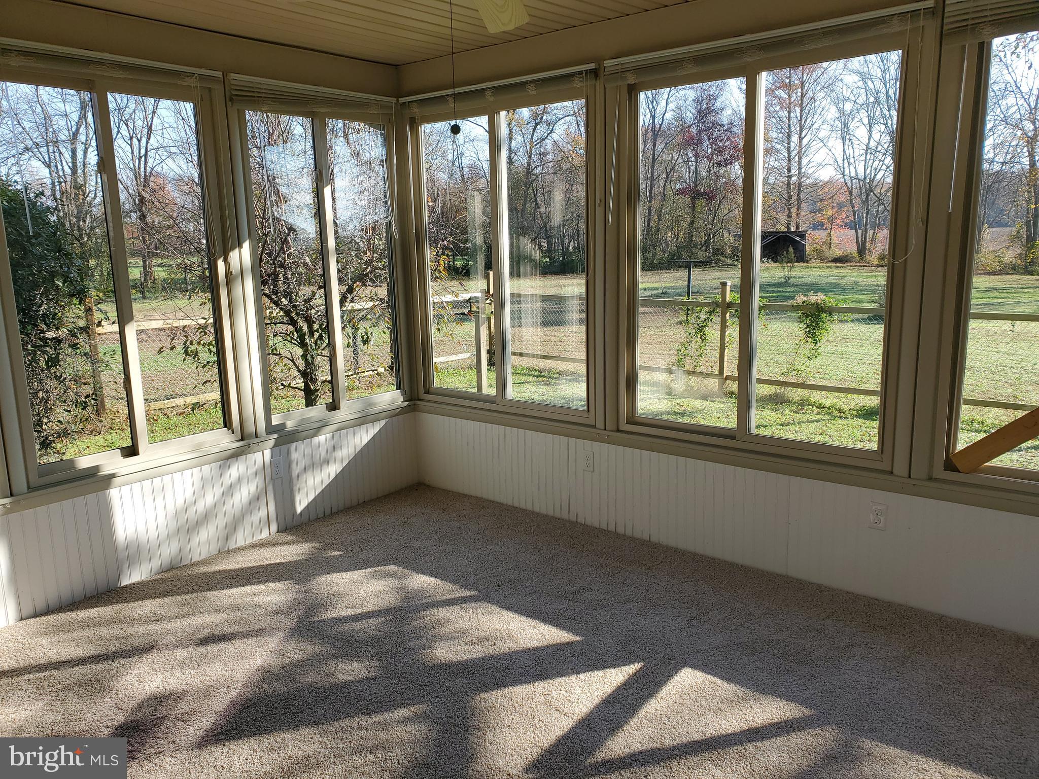 35555 Tingle Road Willards, MD 21874 - Photo 20 of 23 Gallery Image 20
