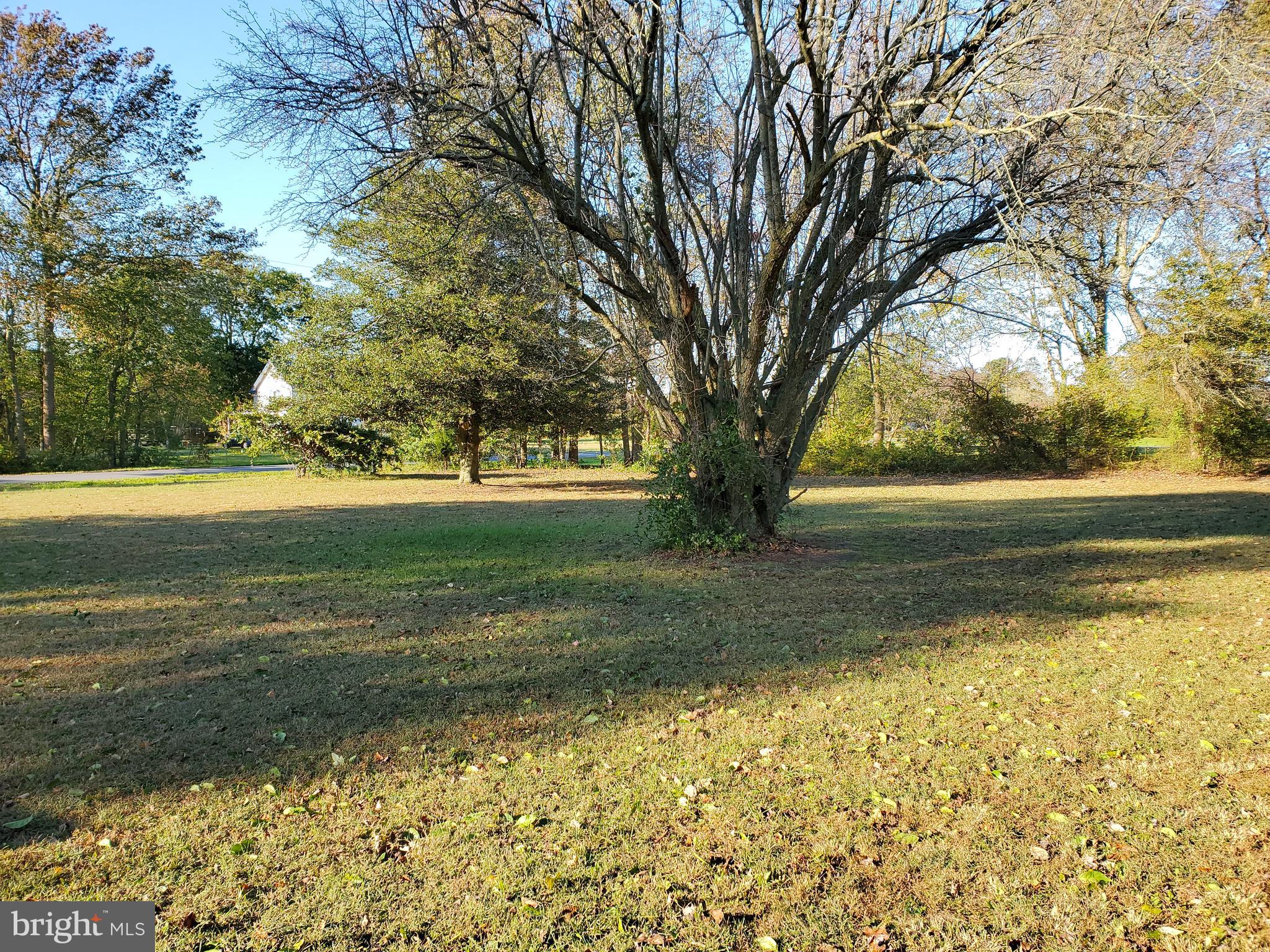 35555 Tingle Road Willards, MD 21874 - Photo 22 of 23 Gallery Image 22