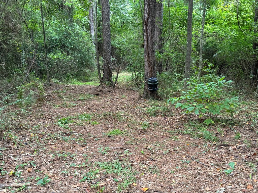 7060 Fernwood Road Magnolia, MS 39652 - Photo 11 of 27 Trail from pond to north perimeter trail