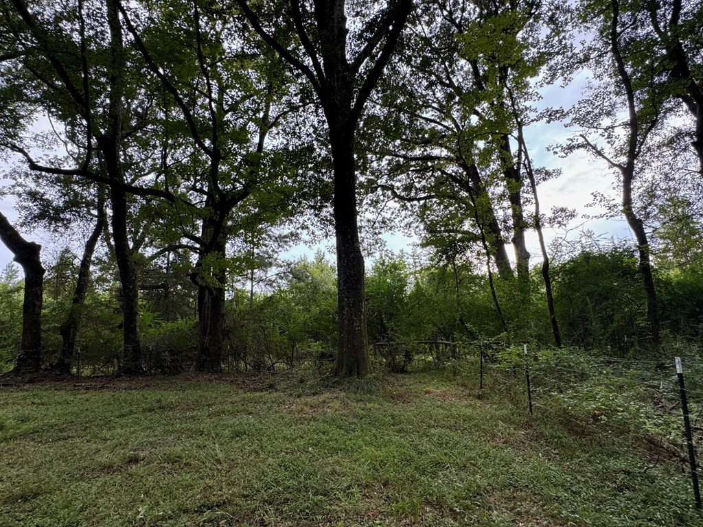 7060 Fernwood Road Magnolia, MS 39652 - Photo 16 of 27 Southwest corner of property