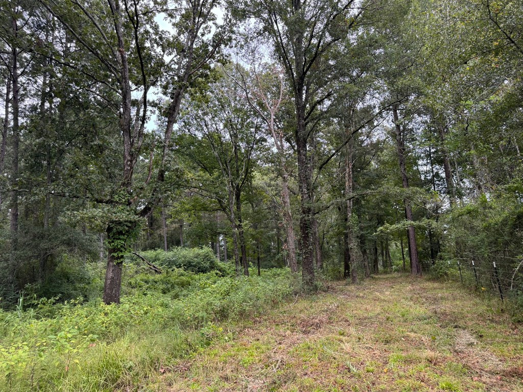 7060 Fernwood Road Magnolia, MS 39652 - Photo 21 of 27 Oaks near SE corner