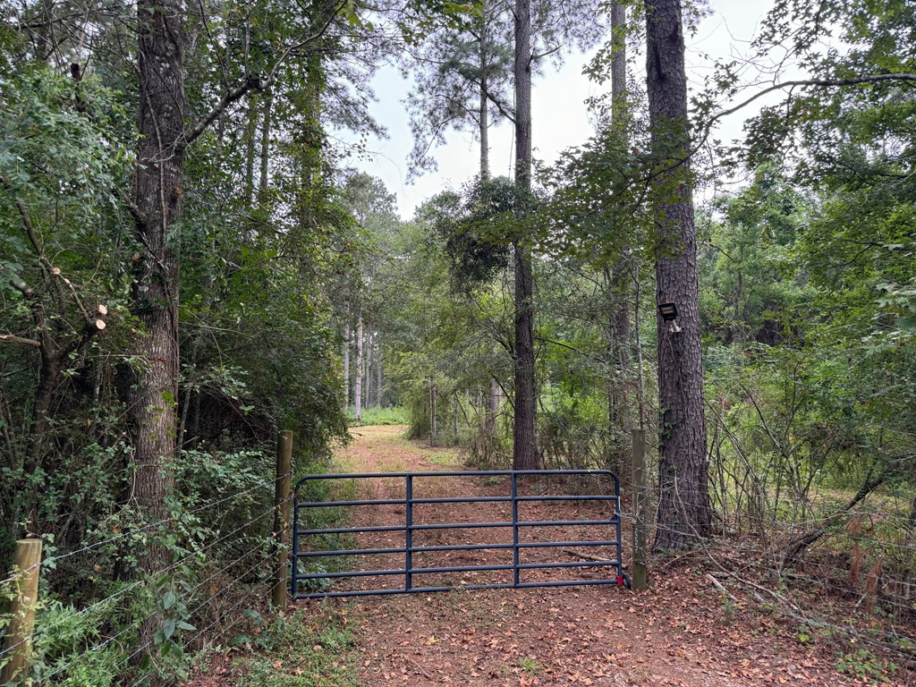 7060 Fernwood Road Magnolia, MS 39652 - Photo 3 of 27 Gated entrance