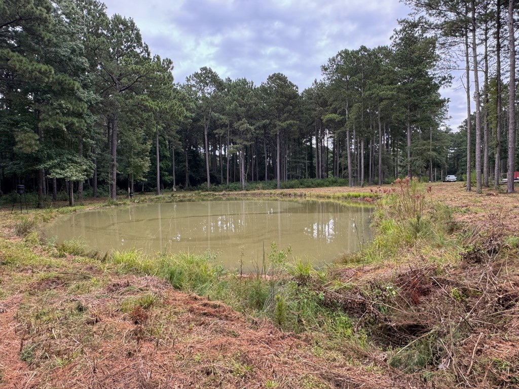 7060 Fernwood Road Magnolia, MS 39652 - Photo 9 of 27 Pond facing east