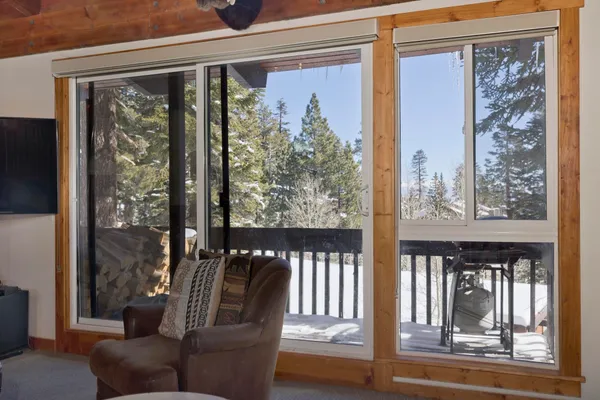 a view of a tree with a tree