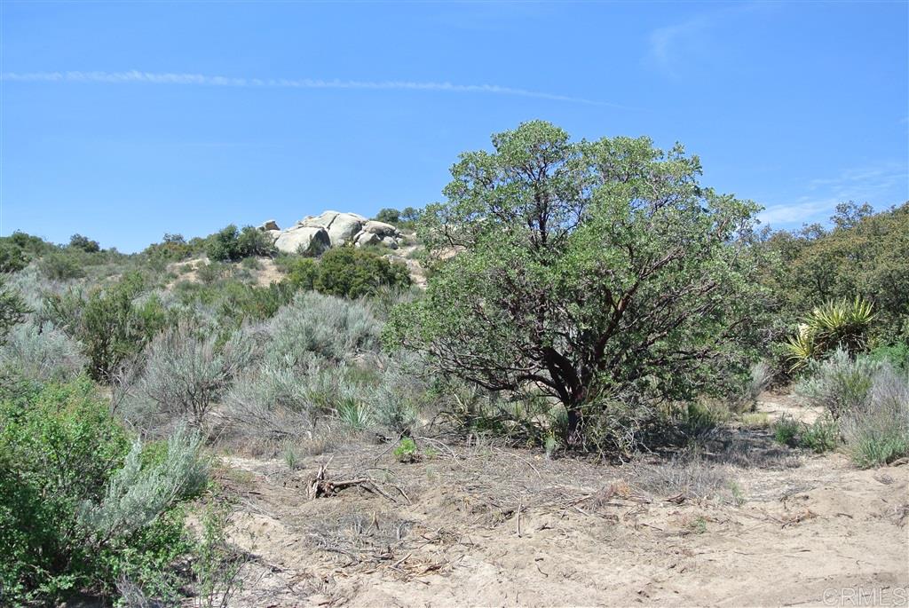 13-acres La Posta Road Campo, CA 91906 - Photo 6 of 6