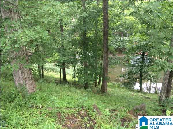 9588 Burney Camp Road Bessemer, AL 35023 - Photo 24 of 37
