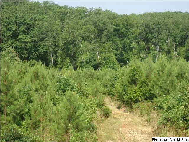 Mayo Road, Unit 96 Altoona, AL 35952 - Photo 7 of 23