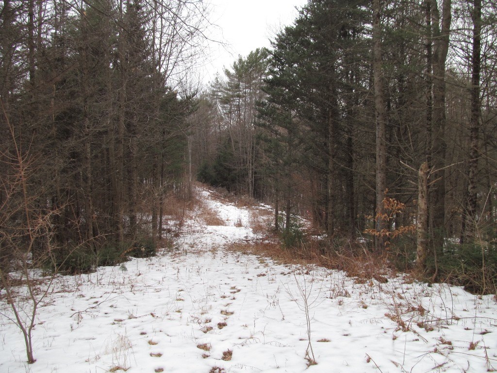 75 Slab City Road Claremont, NH 03743 - Photo 5 of 6 Gallery Image 5