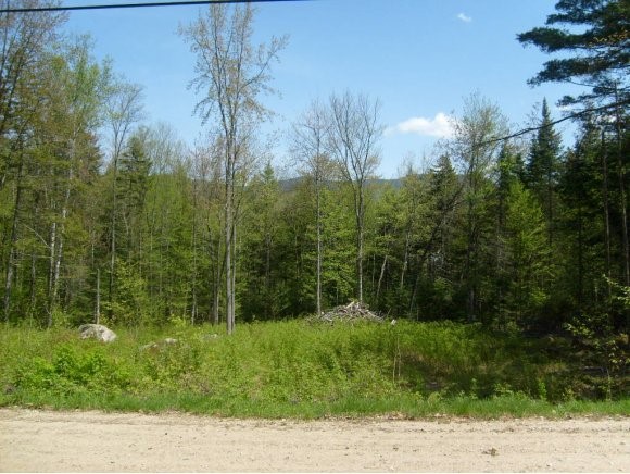 Lot 8 Cuttyhunk Road Thornton, NH 03285 - Photo 1 of 1 Gallery Image 1