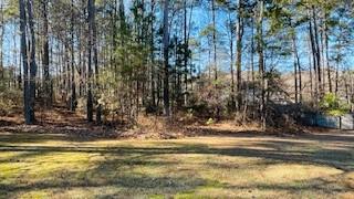 1468 Sierra Ridge Place Southeast Loganville, GA 30052 - Photo 20 of 22