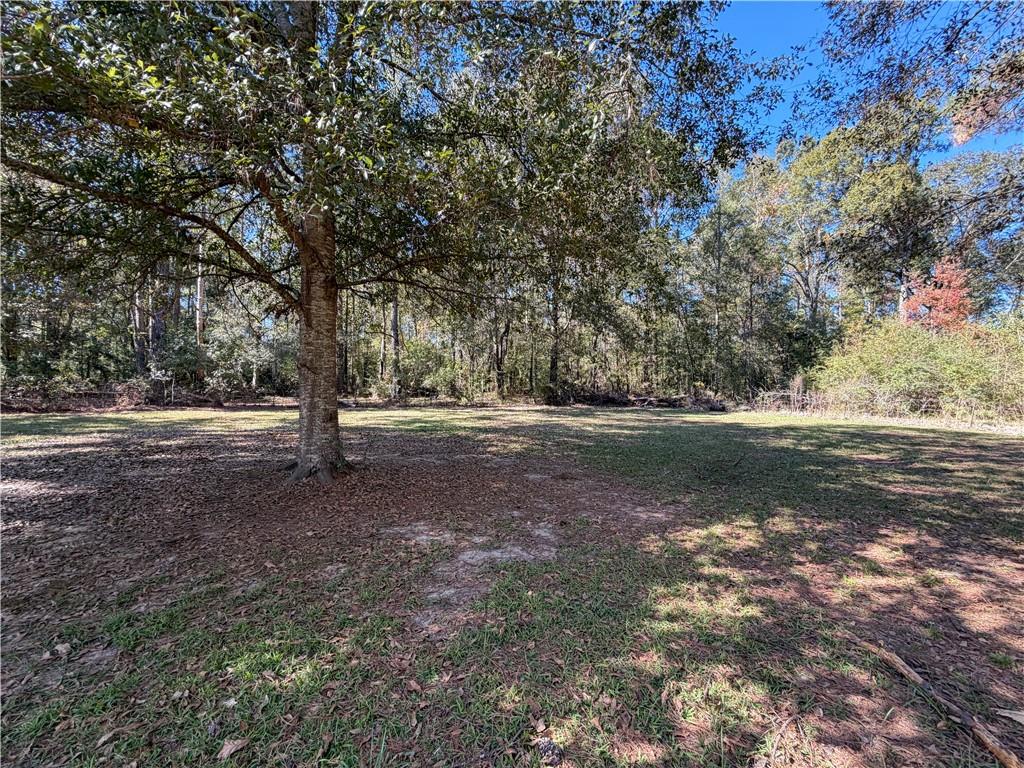 55174 Hano Road Independence, LA 70443 - Photo 5 of 27 Gallery Image 5