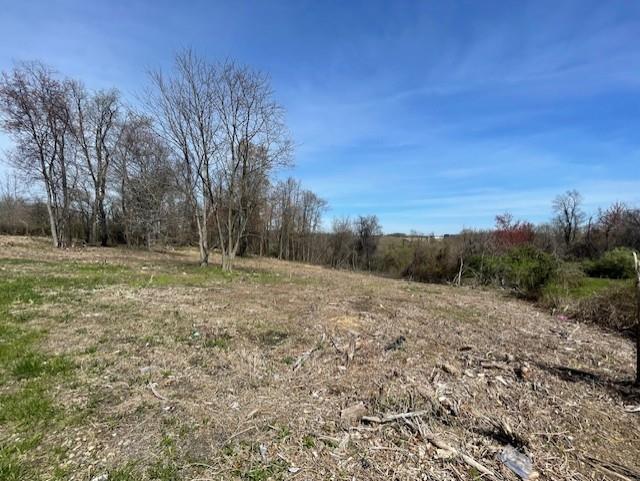 a view of dirt field with trees