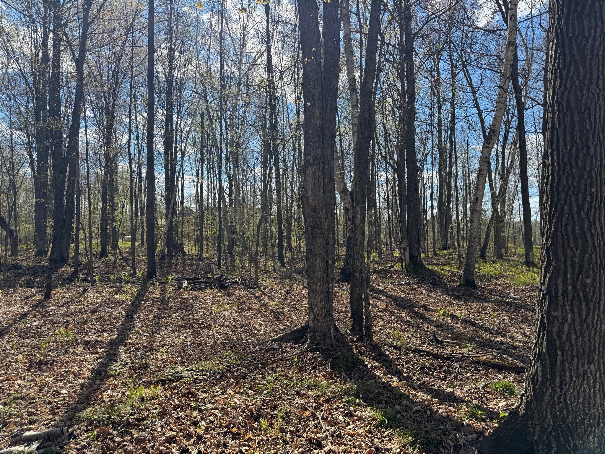 Lot 7 Trapper Trail Hayward, WI 54843 - Photo 27 of 42