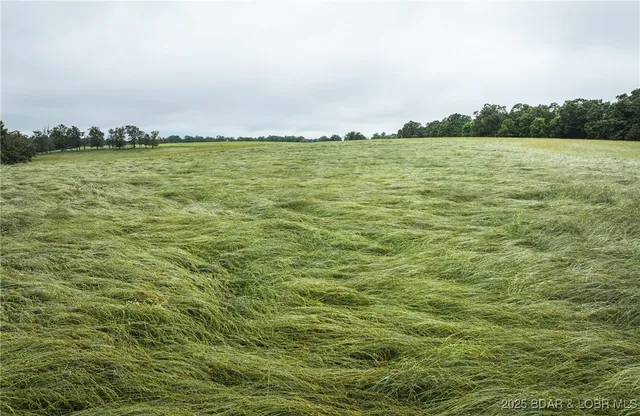 $985,000 | 0 Farm Road 1200, Crane, MO 65633