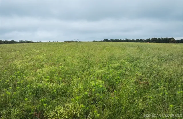 $985,000 | 0 Farm Road 1200, Crane, MO 65633