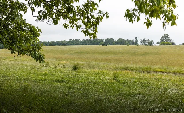 $985,000 | 0 Farm Road 1200, Crane, MO 65633