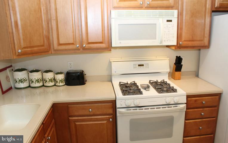 9878 Dochart Sound Lane Bristow, VA 20136 - Photo 18 of 30 a kitchen with stove and cabinets