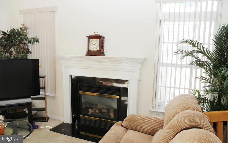 9878 Dochart Sound Lane Bristow, VA 20136 - Photo 9 of 30 a living room with furniture a flat screen tv and a fireplace