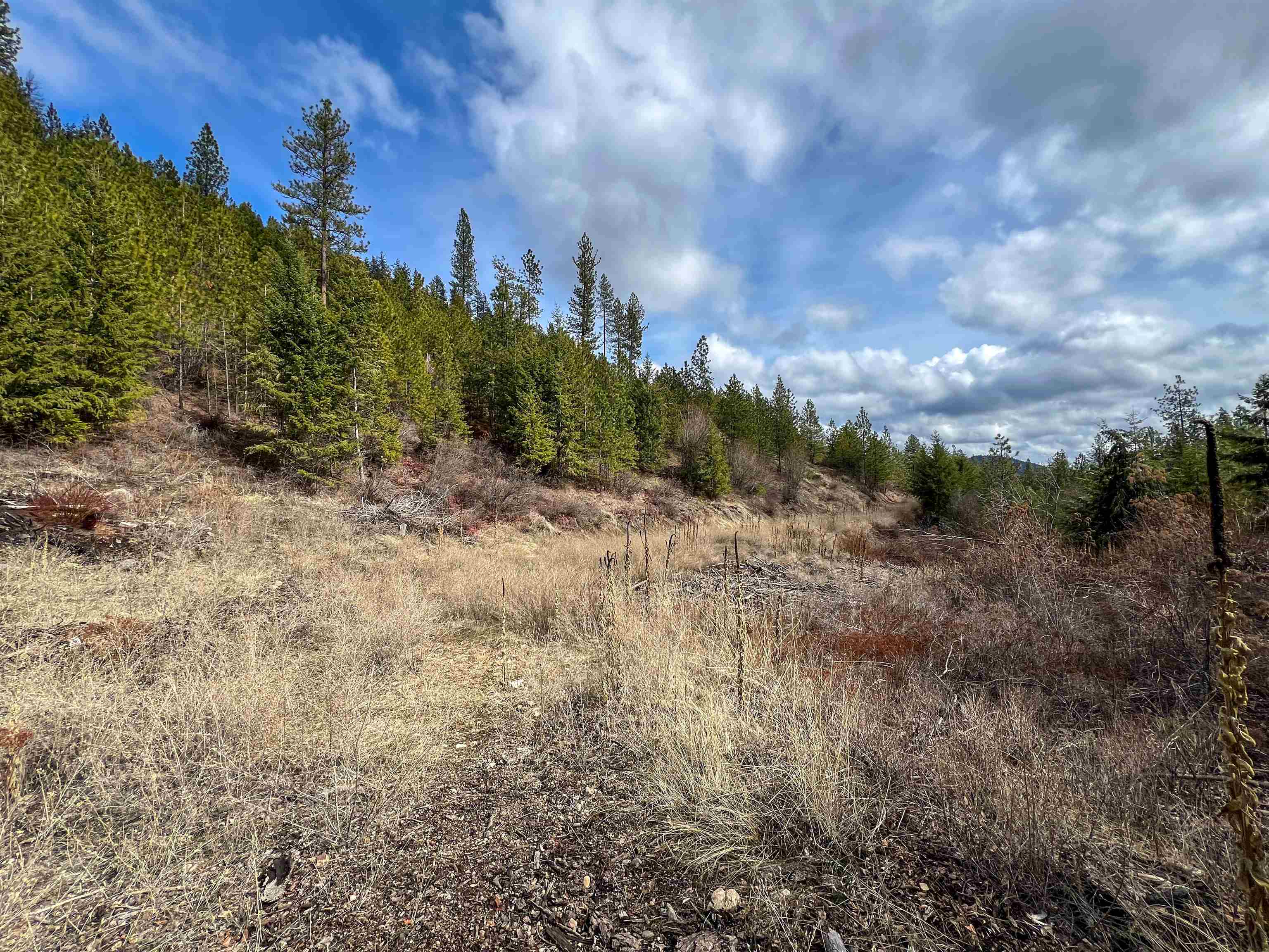 352 X Green Road Valley, WA 99181 - Photo 3 of 32