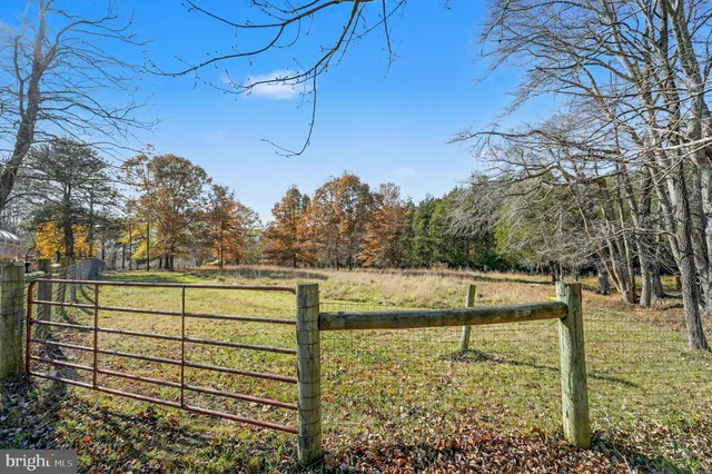 a view of a basket ball ground