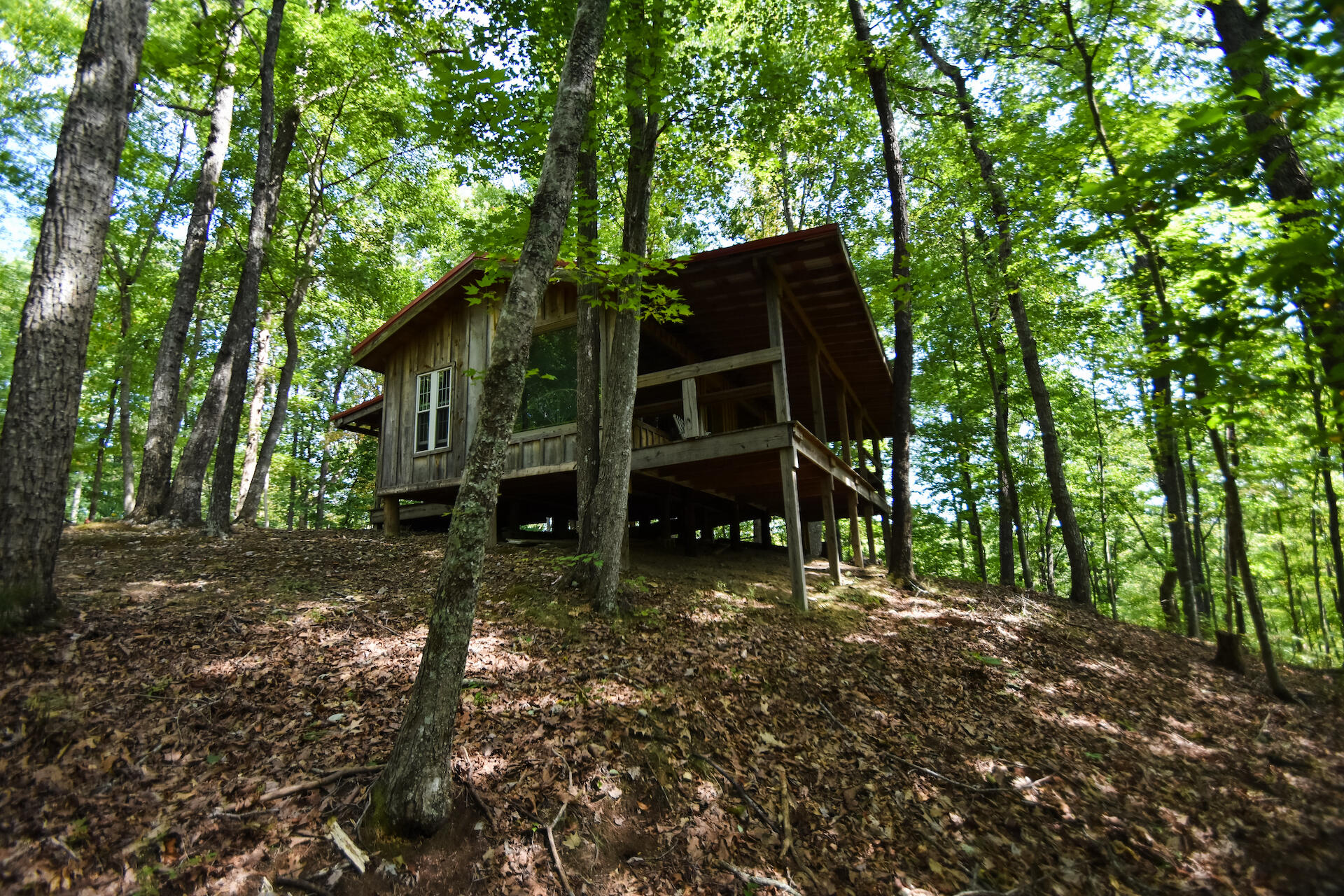 0 Carpenter Ridge Road Sandgap, KY 40481 - Photo 35 of 36 DSC_2128