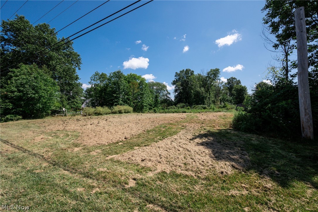 1808 Sandy Lake Road Ravenna, OH 44266 - Photo 23 of 30 Expansive cleared lot with mature perimeter trees