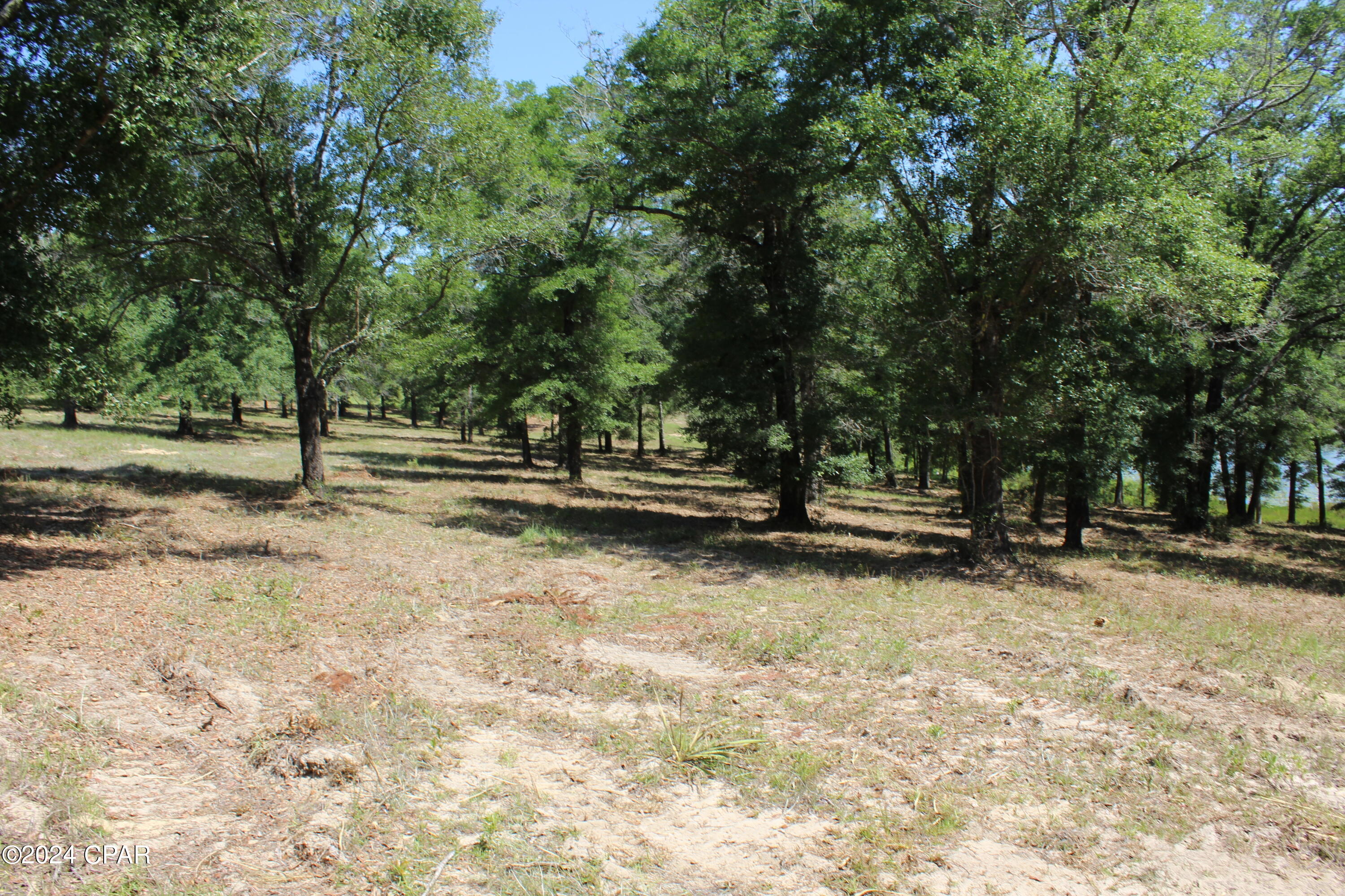 Tbd Twin Pond Road Vernon, FL 32462 - Photo 39 of 42 Gallery Image 39