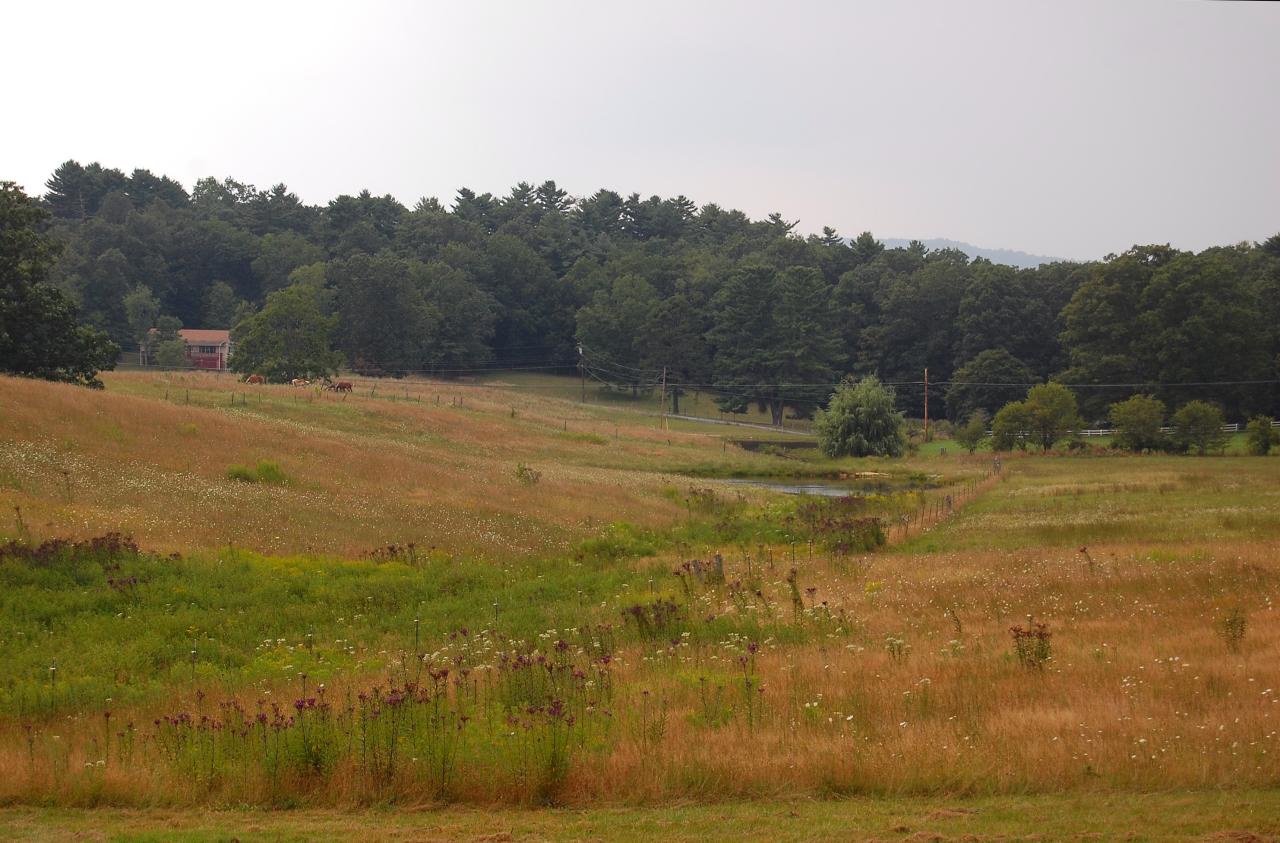 446 Belgian View Estates Road Lewisburg, WV 24901 - Photo 18 of 19 Wonderful Mountain/Valley Views From The Back Deck!