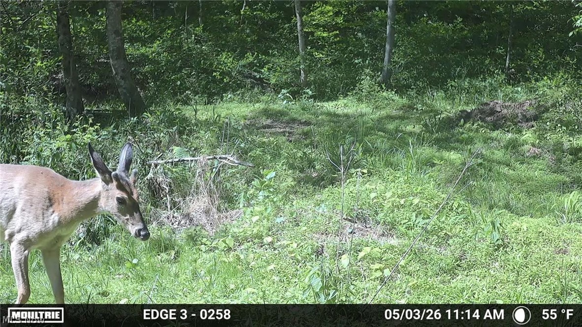 0 Twp Road Marietta, OH 45750 - Photo 50 of 50