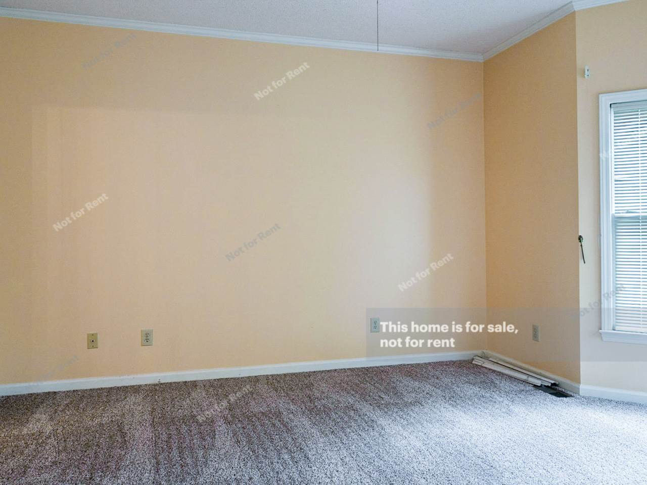 2704 West Jameson Road Raleigh, NC 27604 - Photo 12 of 28 Photo 12