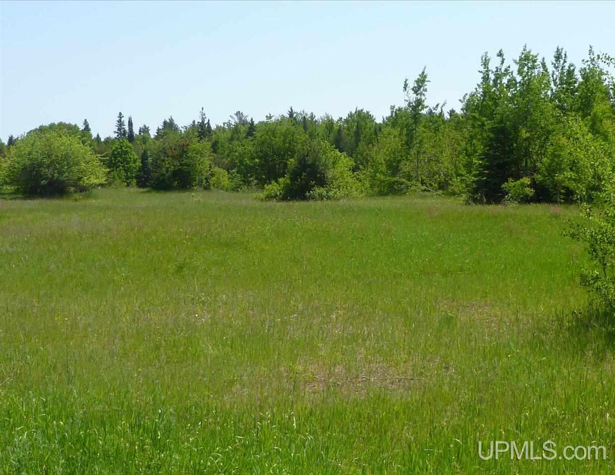 Tbd Gratiot River Road Iron Mountain, MI 49801 - Photo 6 of 11