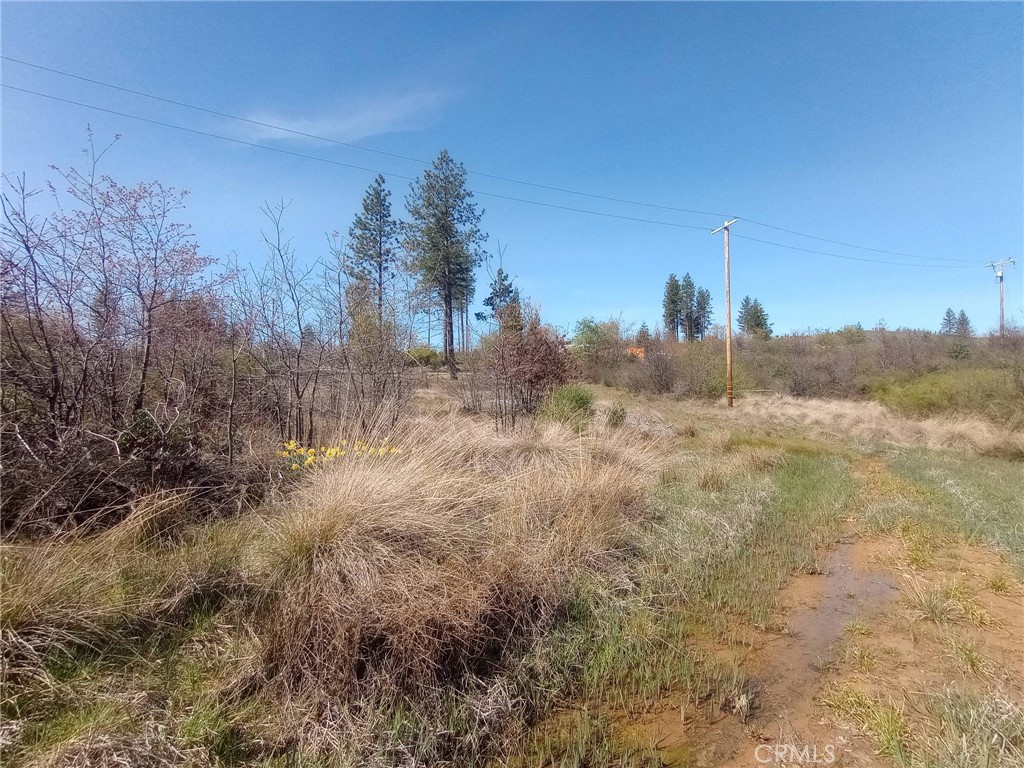 3515 Hoffman Road Oroville, CA 95965 - Photo 12 of 30 a view of a yard with trees in front of it