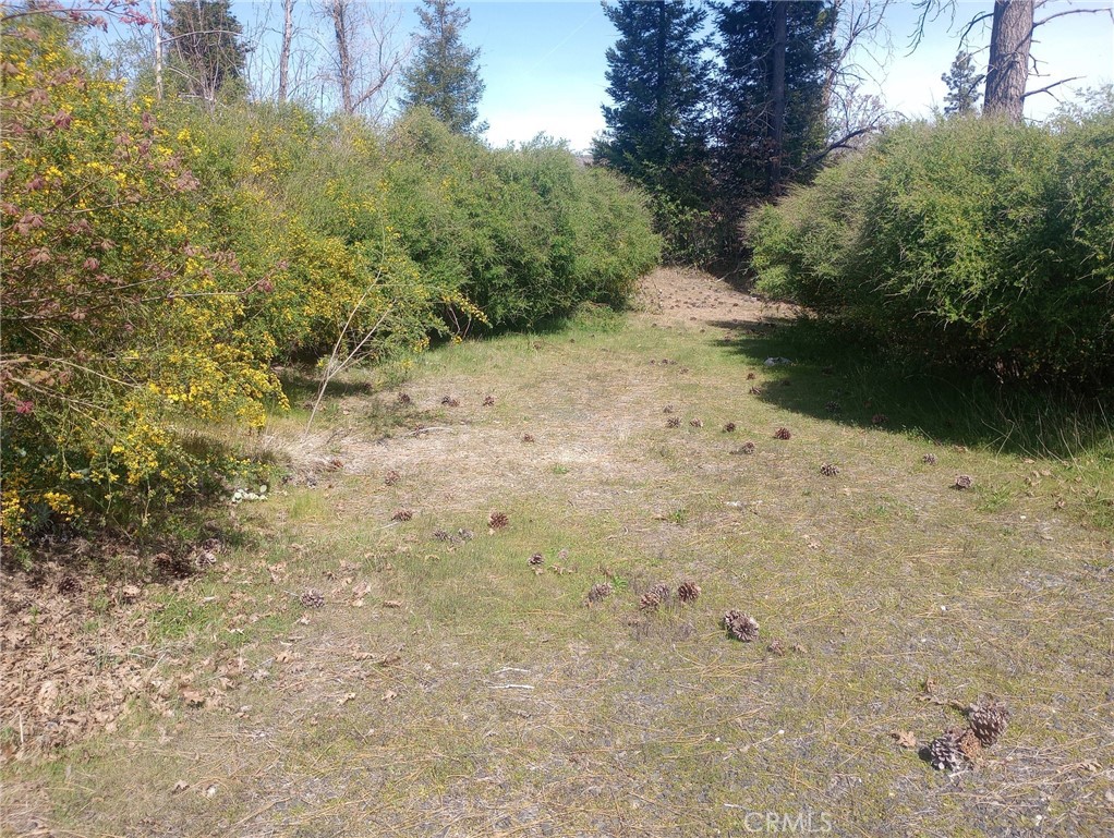 3515 Hoffman Road Oroville, CA 95965 - Photo 12 of 27