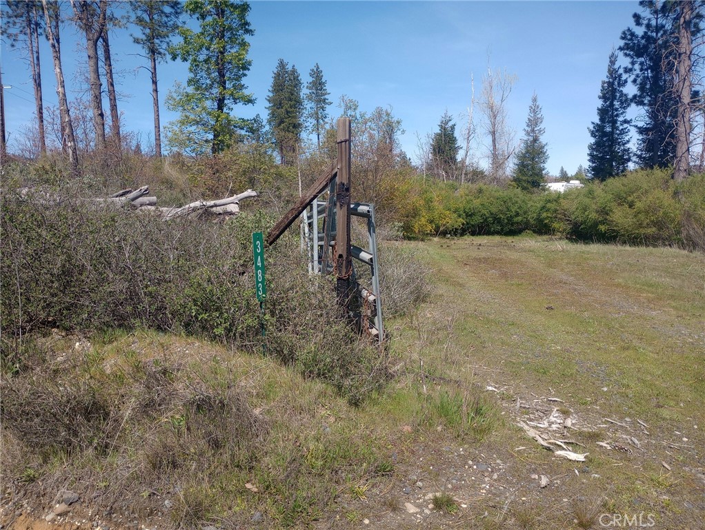 3515 Hoffman Road Oroville, CA 95965 - Photo 13 of 30 a view of a field with large trees