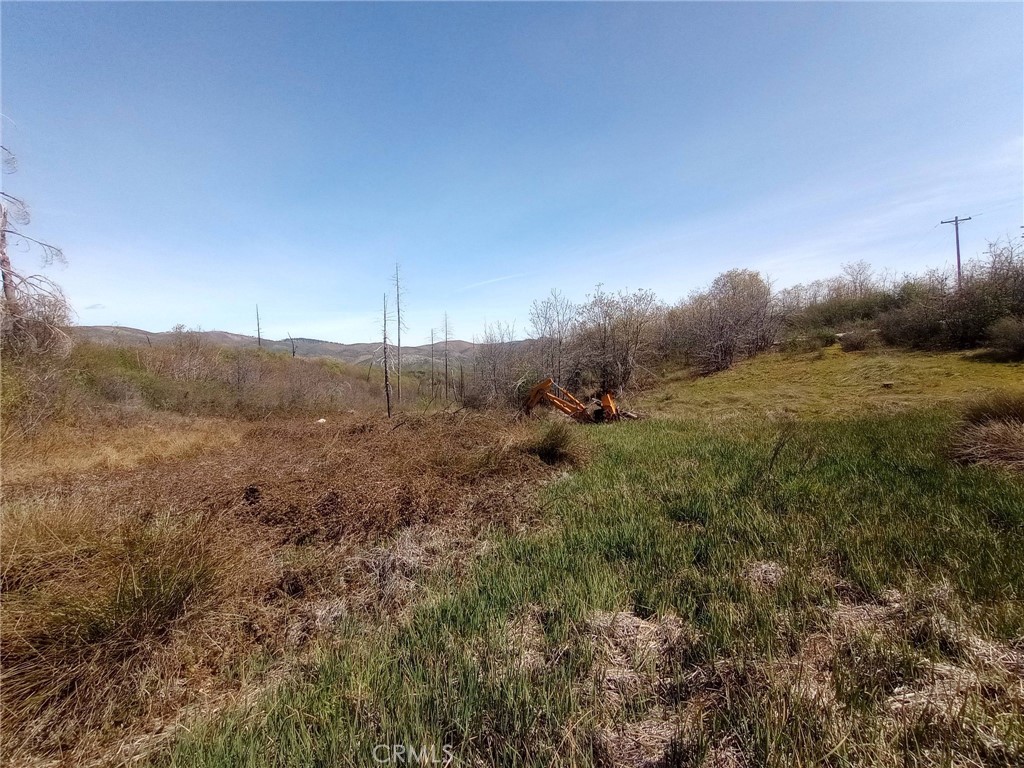 3515 Hoffman Road Oroville, CA 95965 - Photo 14 of 30 a view of a green field