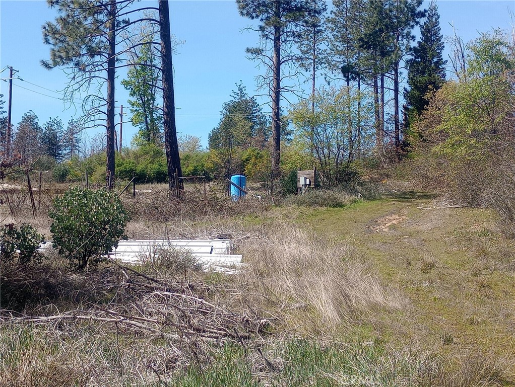 3515 Hoffman Road Oroville, CA 95965 - Photo 17 of 27