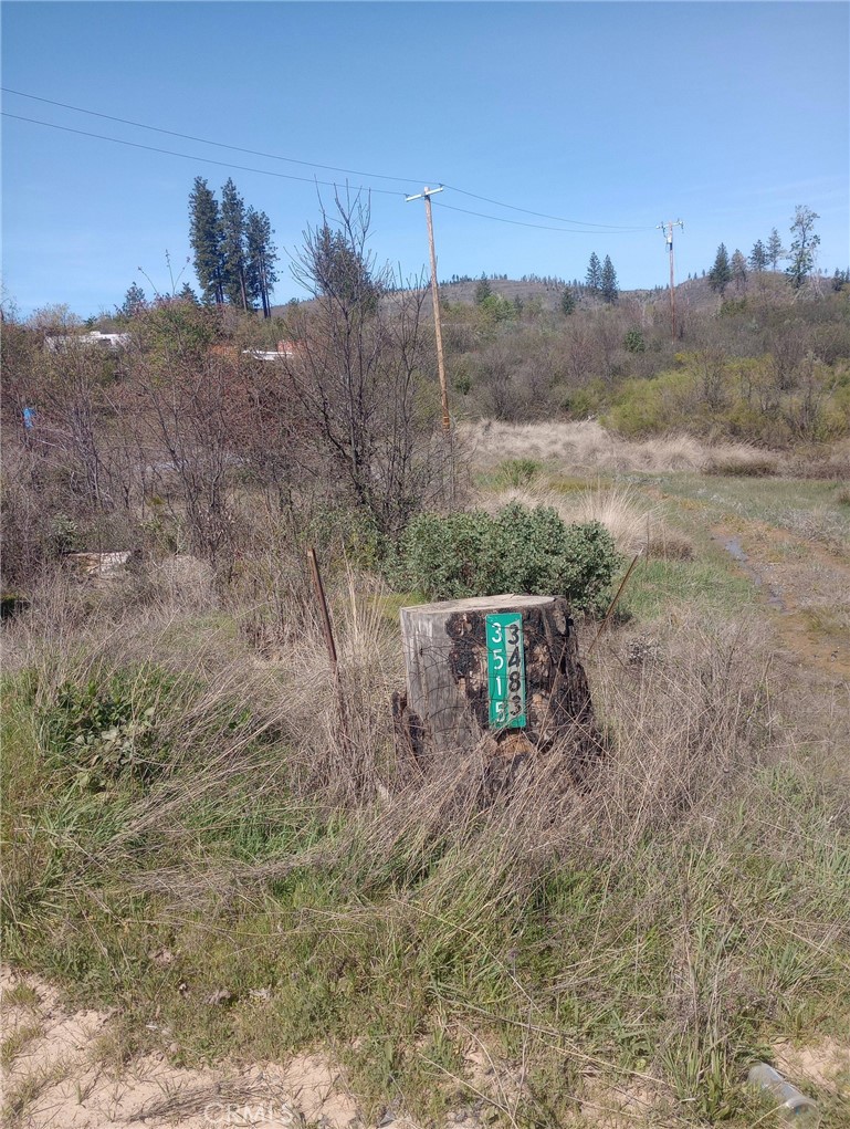 3515 Hoffman Road Oroville, CA 95965 - Photo 19 of 30 a view of a dry yard with trees