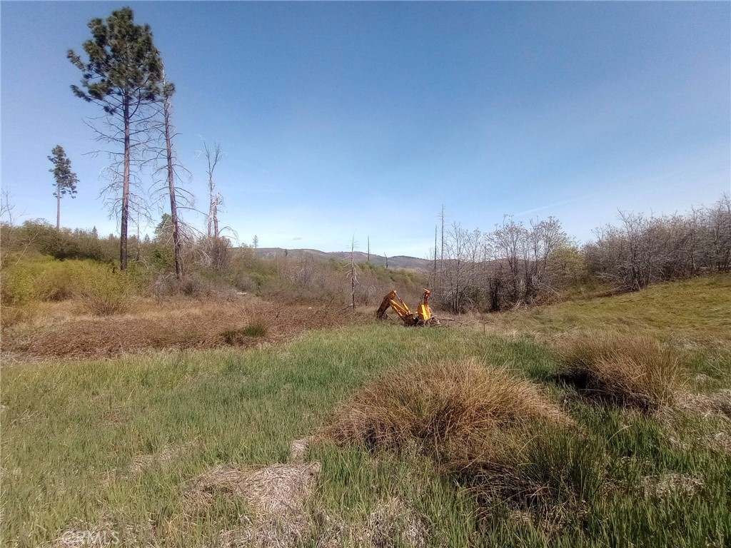 3515 Hoffman Road Oroville, CA 95965 - Photo 2 of 27