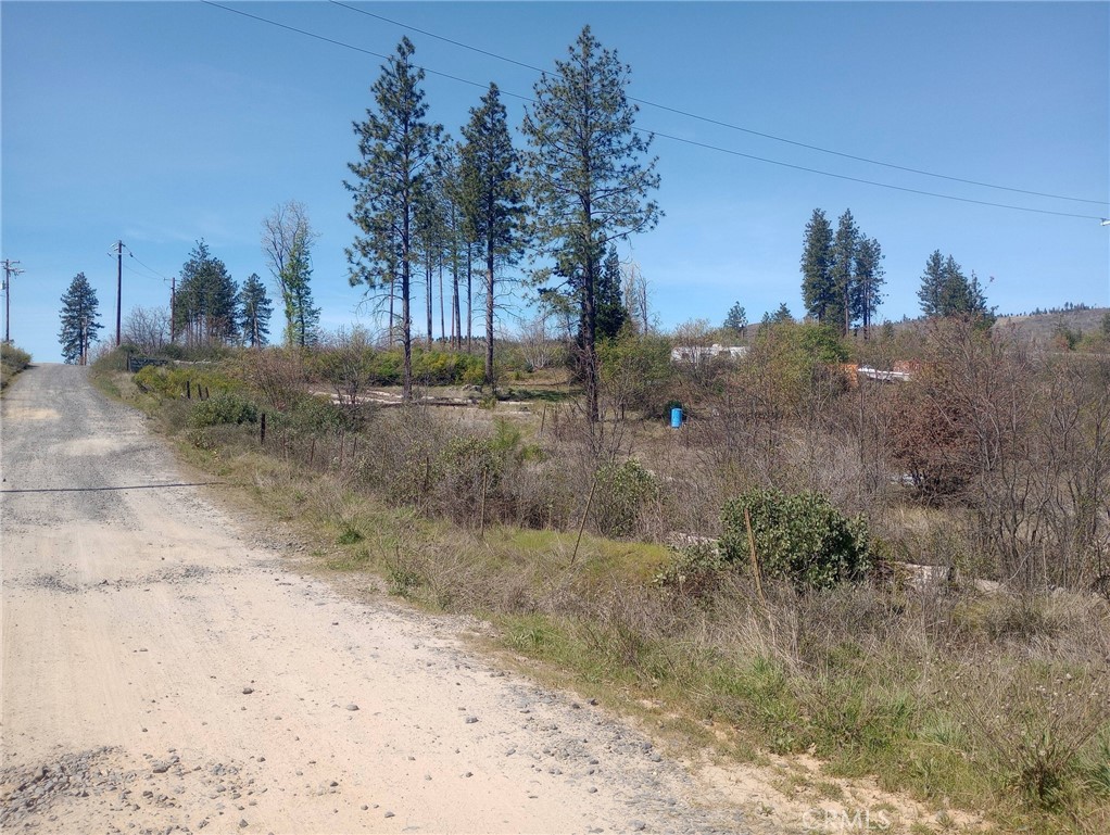 3515 Hoffman Road Oroville, CA 95965 - Photo 22 of 30 a view of a dry yard with trees