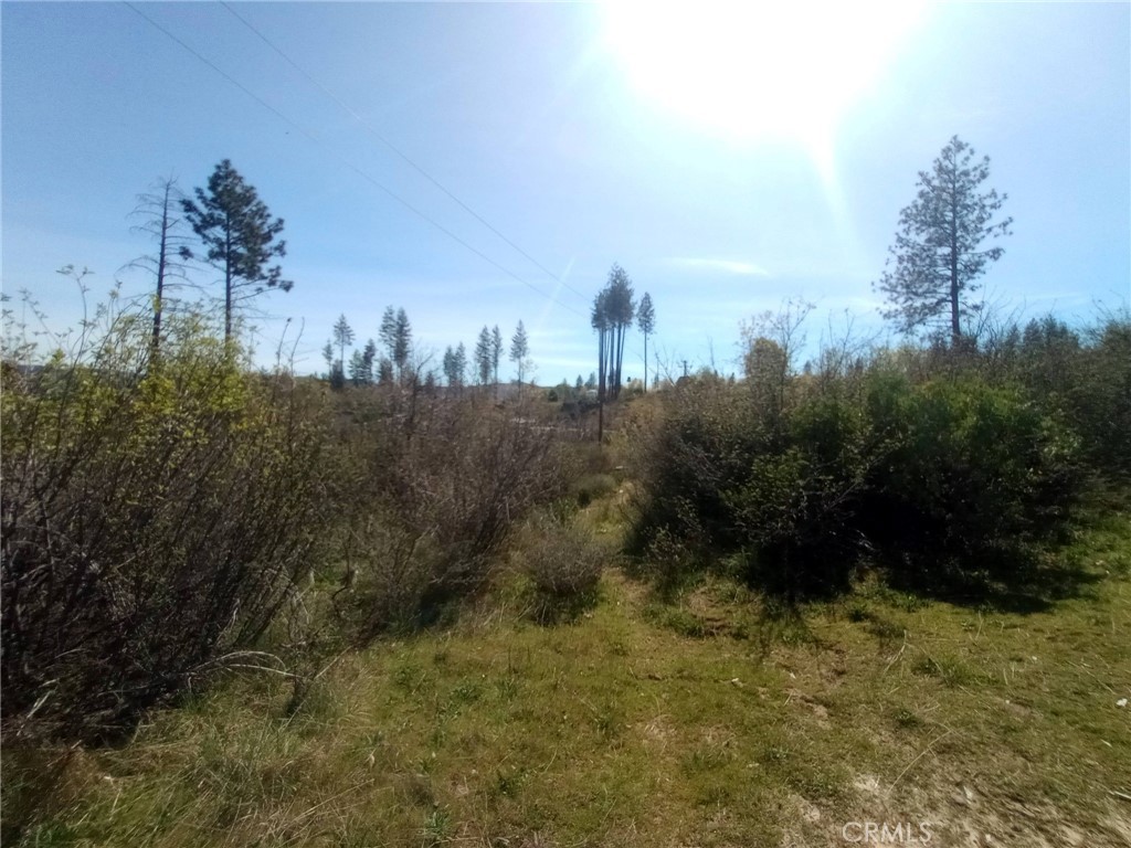 3515 Hoffman Road Oroville, CA 95965 - Photo 22 of 27