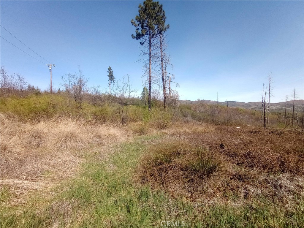 3515 Hoffman Road Oroville, CA 95965 - Photo 24 of 30 a view of a yard