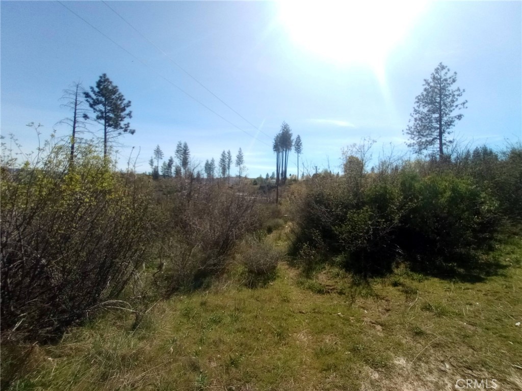 3515 Hoffman Road Oroville, CA 95965 - Photo 25 of 30 a view of a city