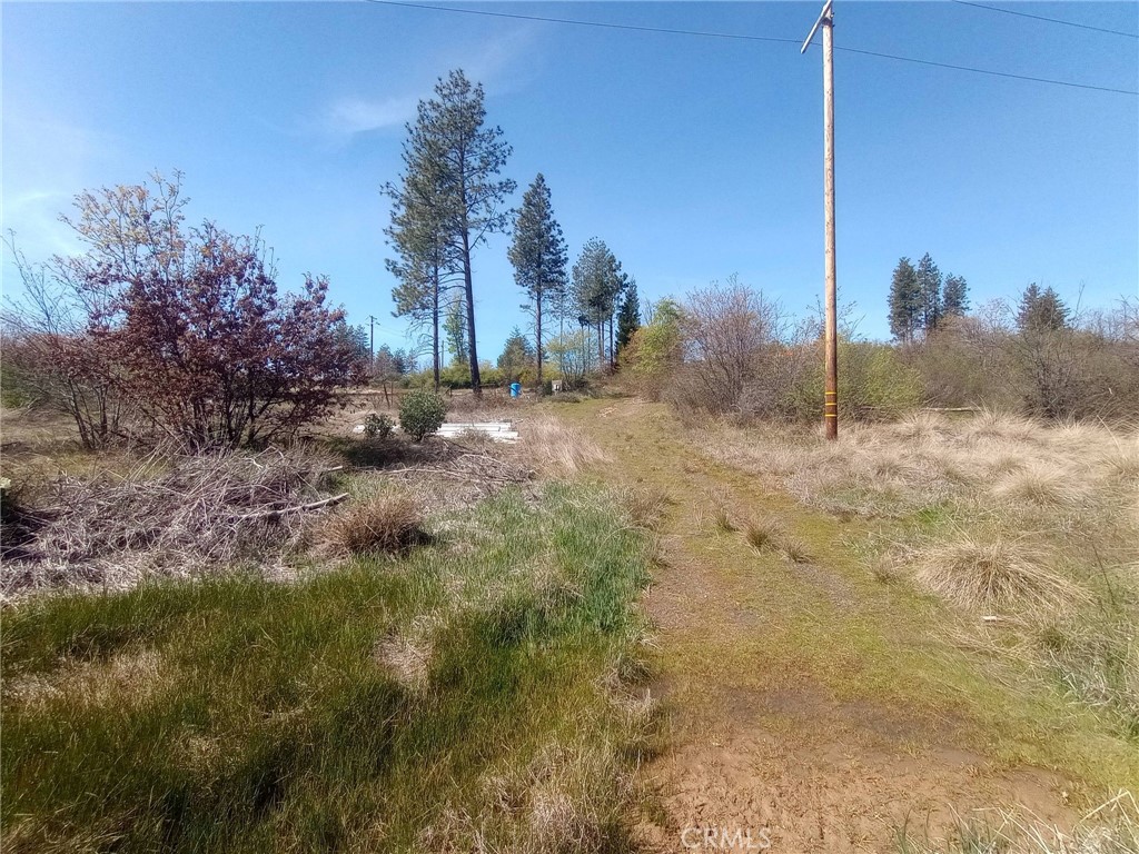 3515 Hoffman Road Oroville, CA 95965 - Photo 27 of 27