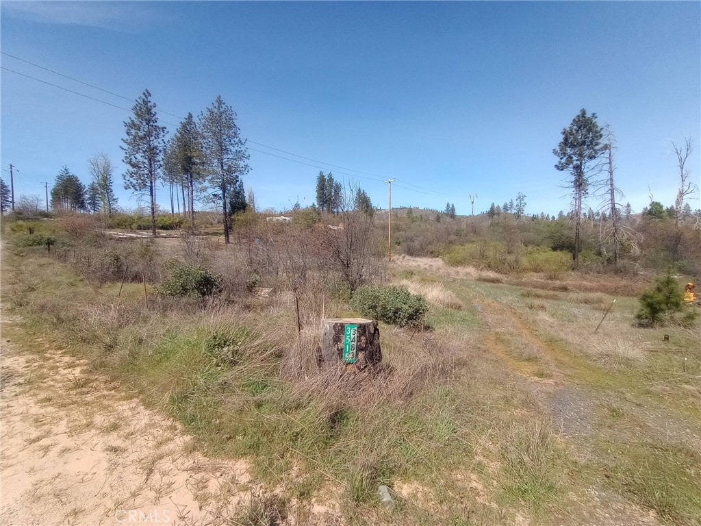 3515 Hoffman Road Oroville, CA 95965 - Photo 27 of 30 a view of a dry yard with trees