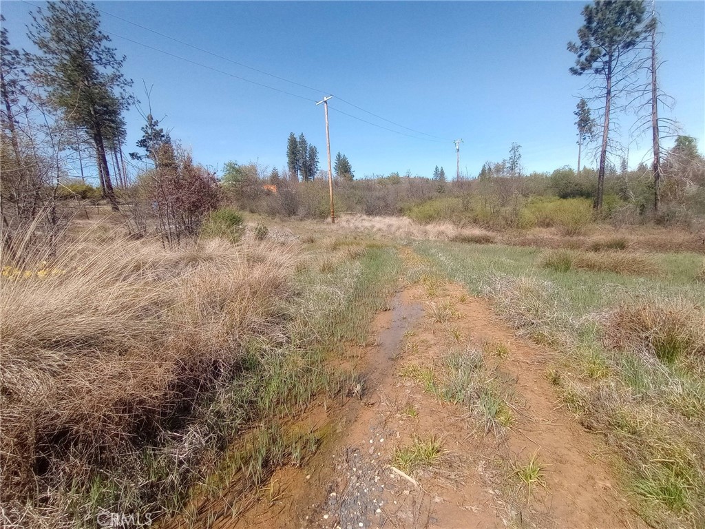 3515 Hoffman Road Oroville, CA 95965 - Photo 29 of 30 a view of a field with trees in the background